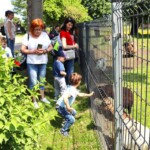 Rancho pod Olszyną Ciechocinek