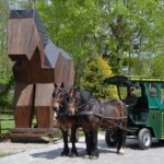 Rancho pod Olszyną Ciechocinek