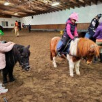 Rancho pod Olszyną Ciechocinek