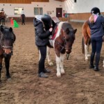 Rancho pod Olszyną Ciechocinek