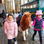 Rancho pod Olszyną Ciechocinek