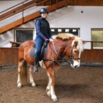 Rancho pod Olszyną Ciechocinek