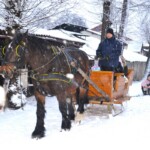 Rancho pod Olszyną Ciechocinek